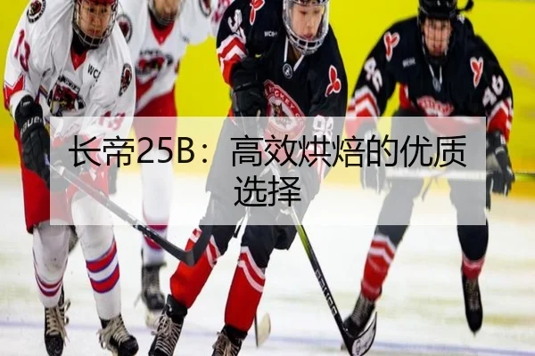 长帝25B：高效烘焙的优质选择